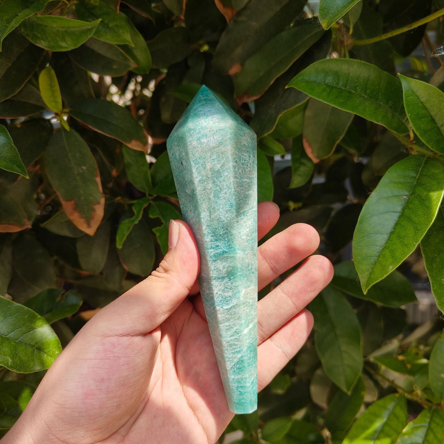 Sheehas Feng Shui Natural Amazonite Scepter Set - The Key to the Energy of the Throat Chakra and Heart Chakra - 我的商店 - crystal scepter