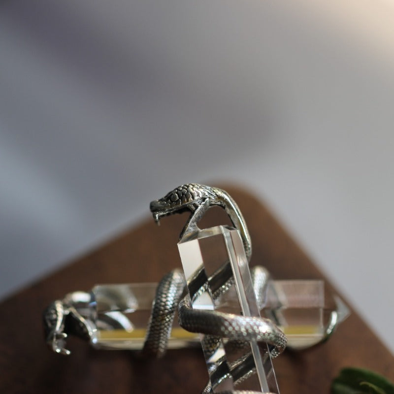 Sterling Silver Serpent-Wrapped Clear Quartz Pendant: A Mystical Amulet