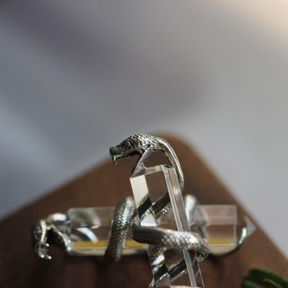 Sterling Silver Serpent-Wrapped Clear Quartz Pendant: A Mystical Amulet
