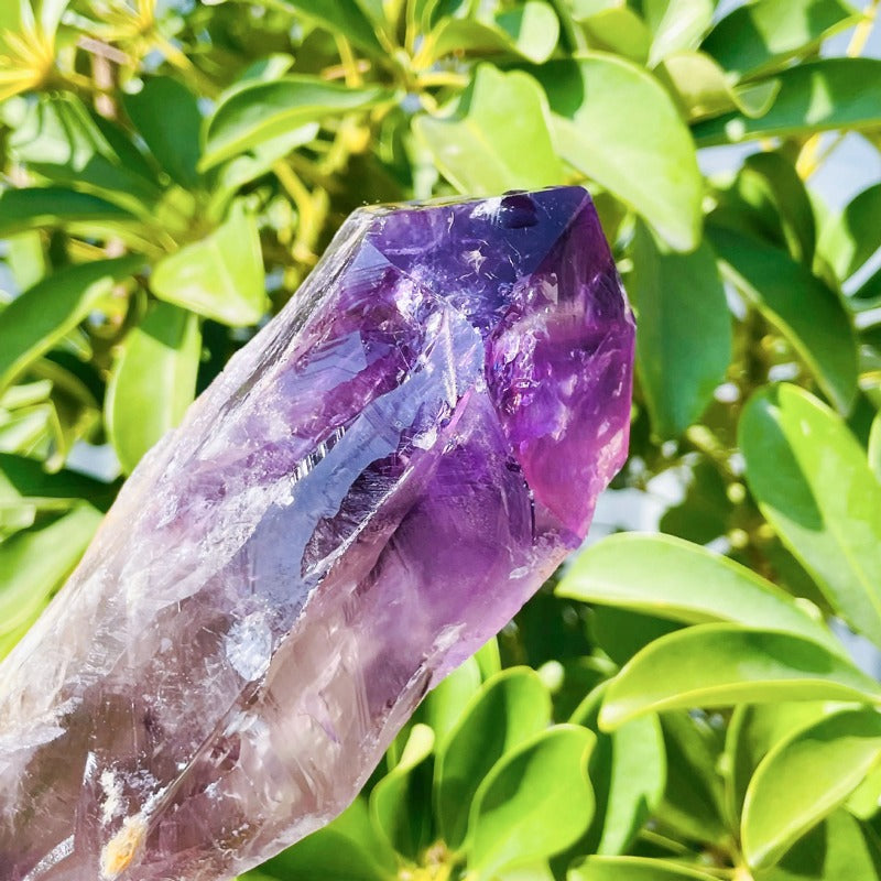 Sceptre en cristal d'améthyste | Sceptre étoile violette : Libérez votre énergie spirituelle et votre puissance intérieure