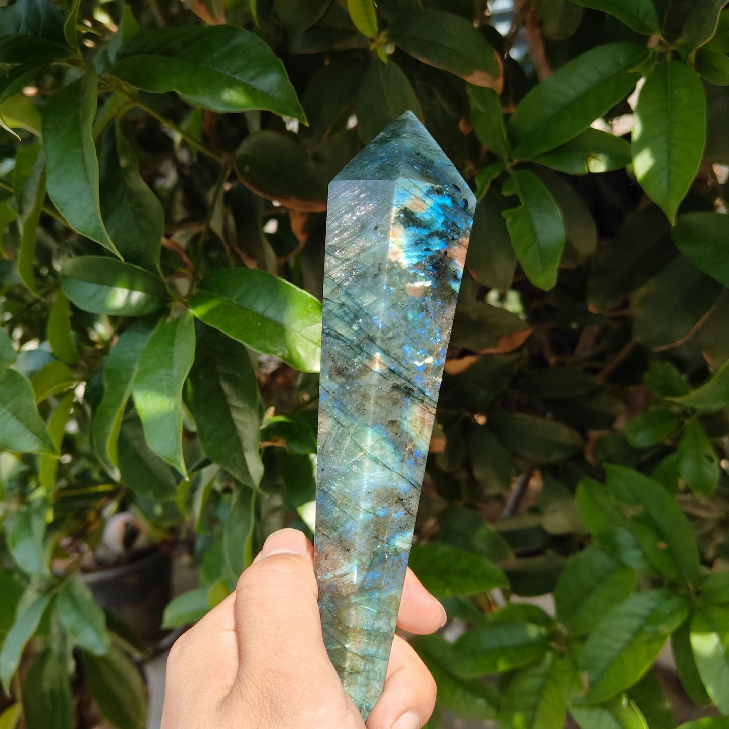 Sheehas Feng Shui Labradorite Scepter - The Sacred Object for Spiritual Energy Renewal and Enlightenment (Height: 5.1" - 7.9") - 我的商店 - 