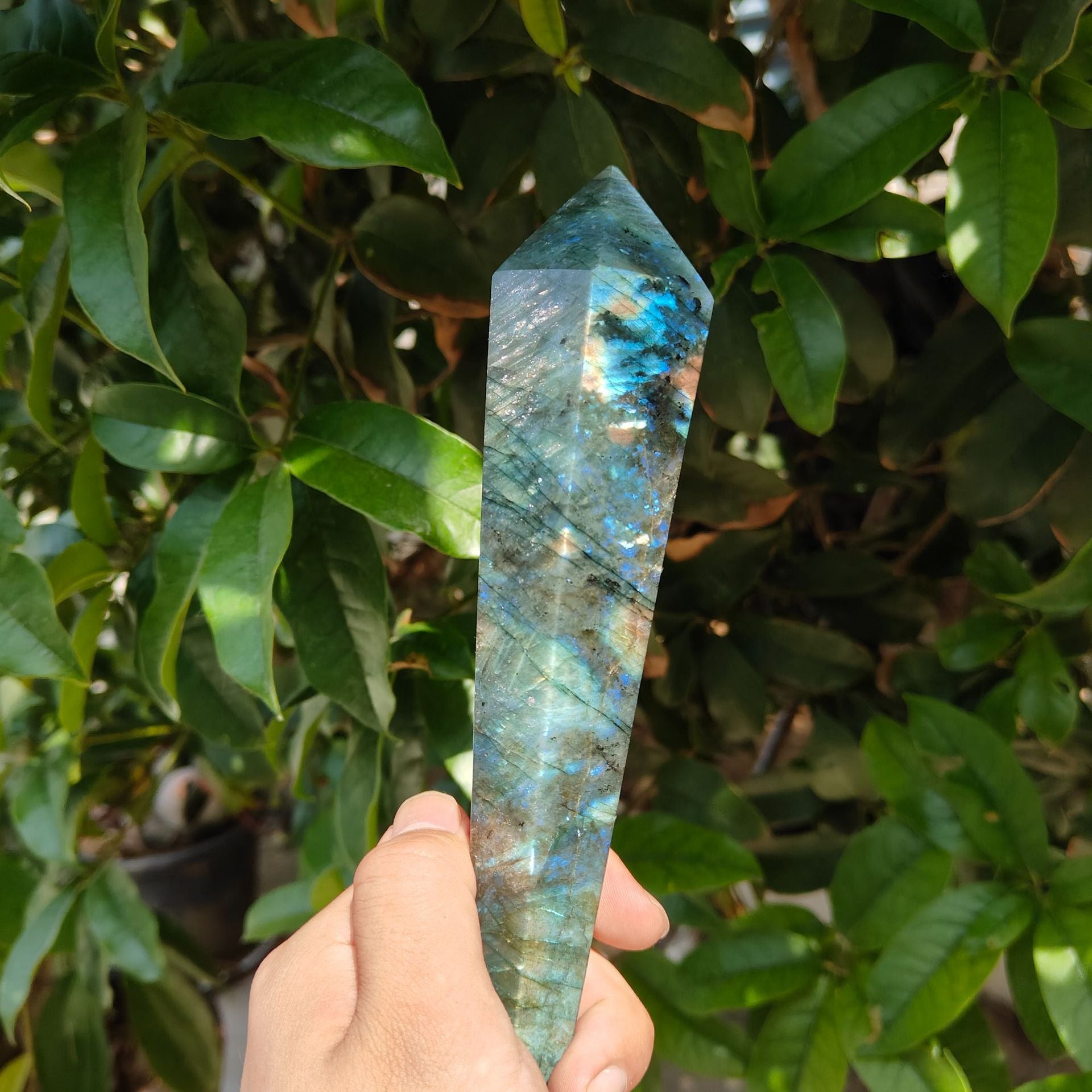Sheehas Feng Shui Labradorite Scepter - The Sacred Object for Spiritual Energy Renewal and Enlightenment (Height: 5.1" - 7.9") - 我的商店 - 