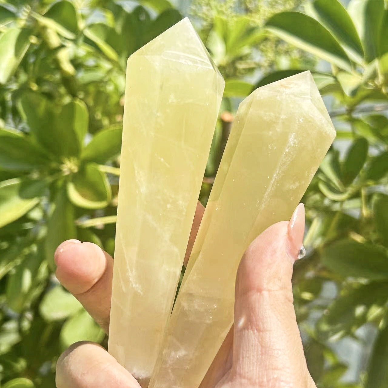 Sheehas Feng Shui Natural Citrine Scepter - The Energy Scepter of Wealth and Vitality ( Height: 5" - 7" ) - 我的商店 - 
